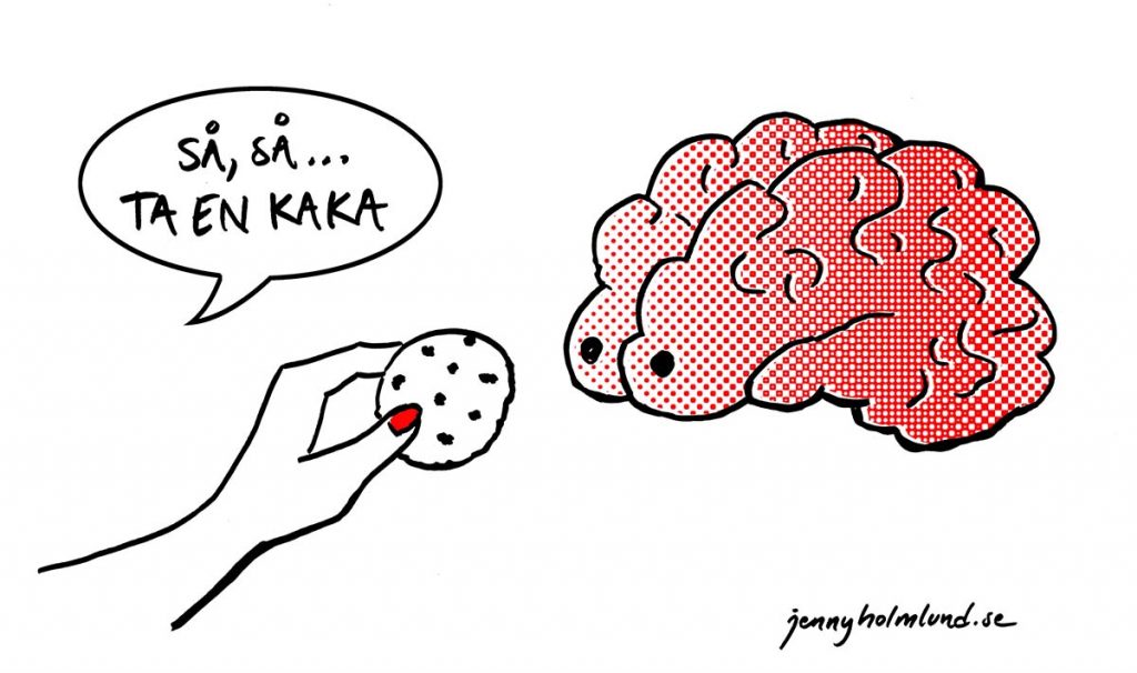 matad-hjärna